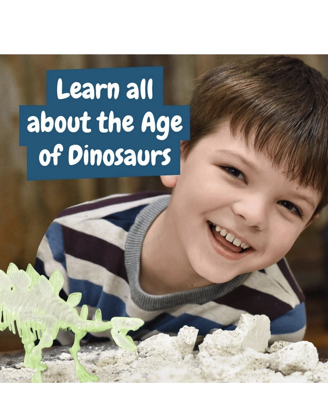 Glow In The Dark Stegosaurus Dinosaur Fossil Digging Kit 4 Kids Tools Included