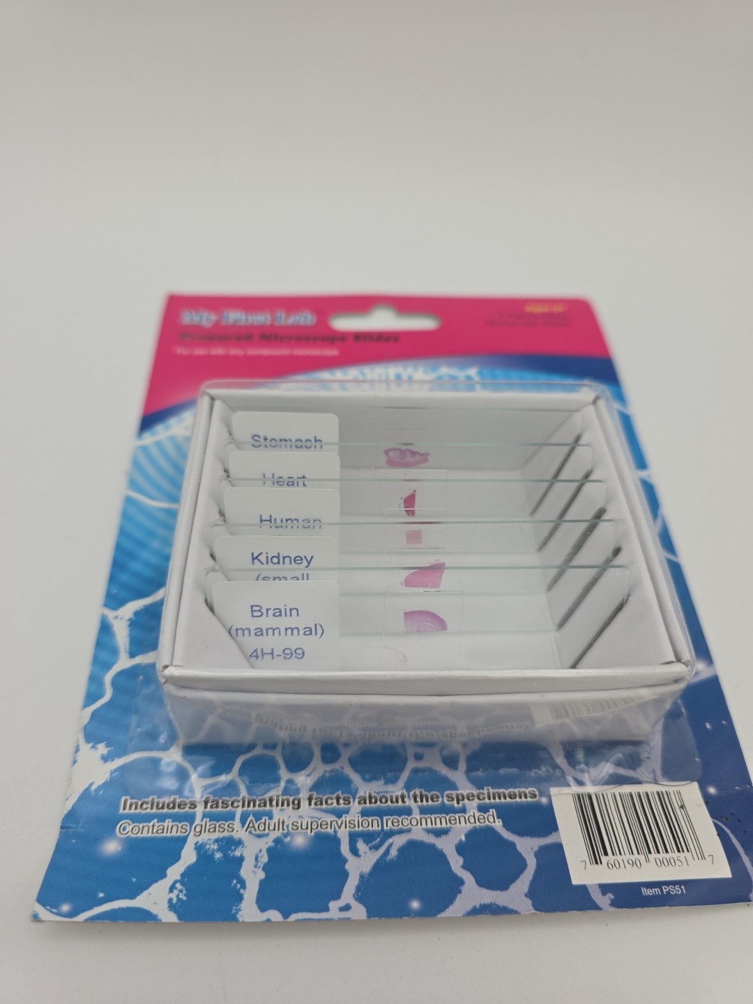 My First Lab Prepared Microscope Slides Blood And Guts PS51 Homeschool Science