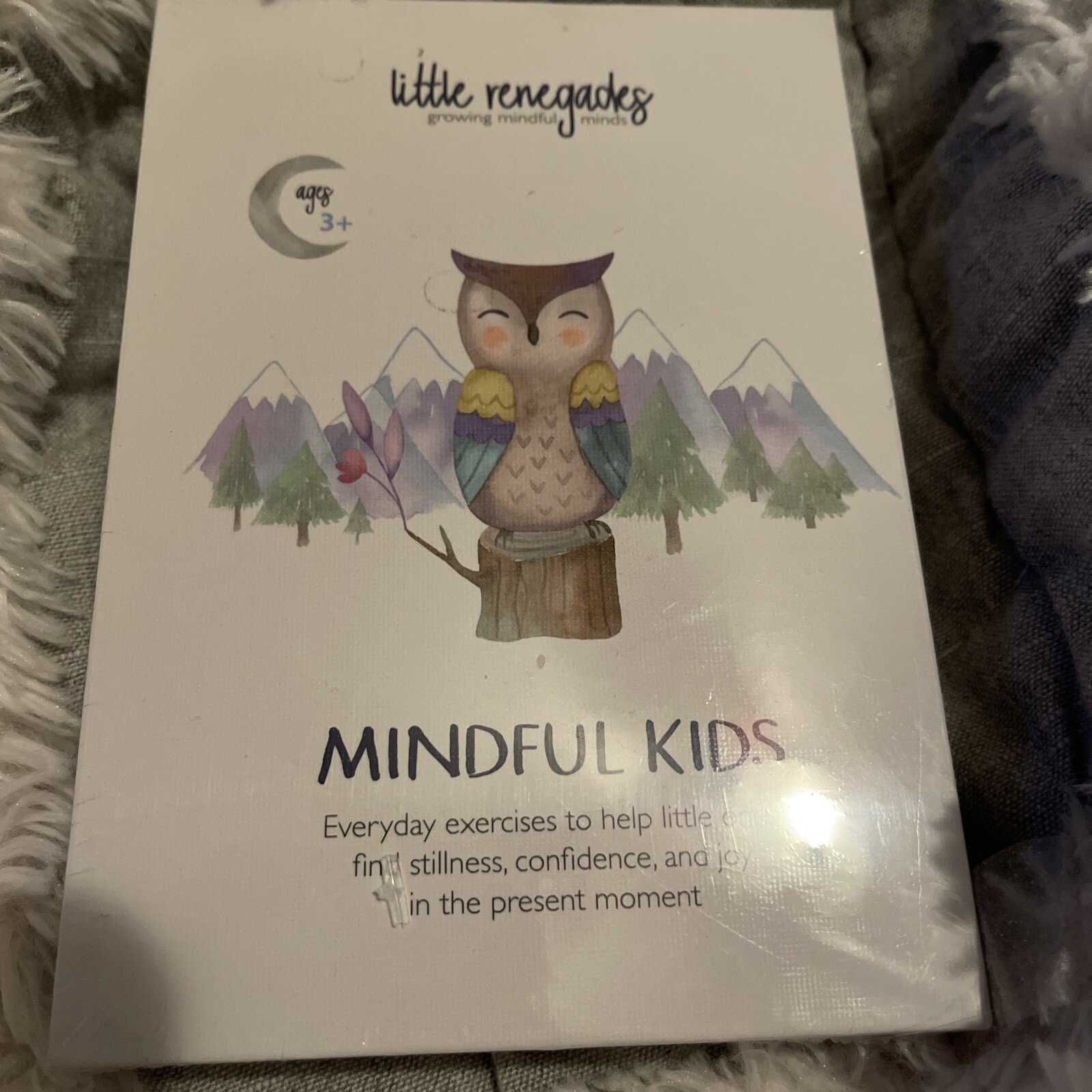 NEW Little Renegades Mindful Kids Cards: Everyday Exercises for Confidence & Joy