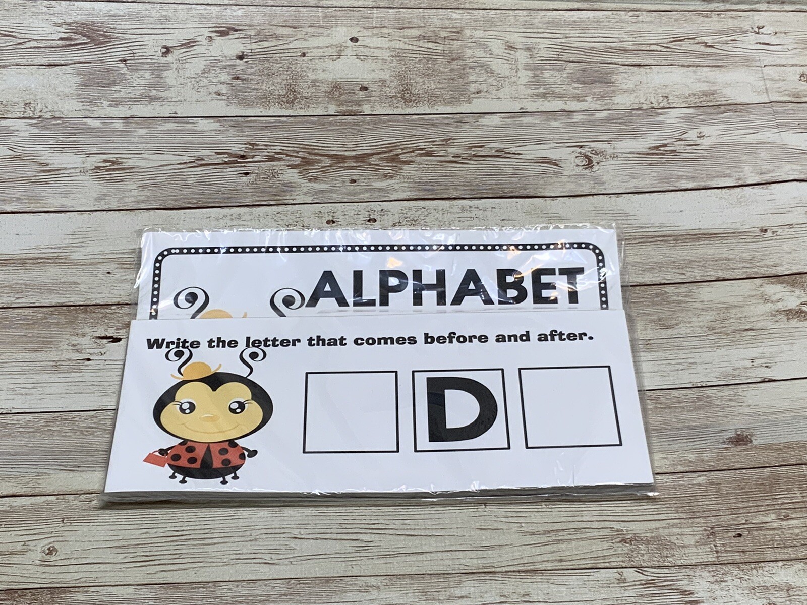 Lady Bug – Themed Learning Centers – Laminated – Alphabet Before & After