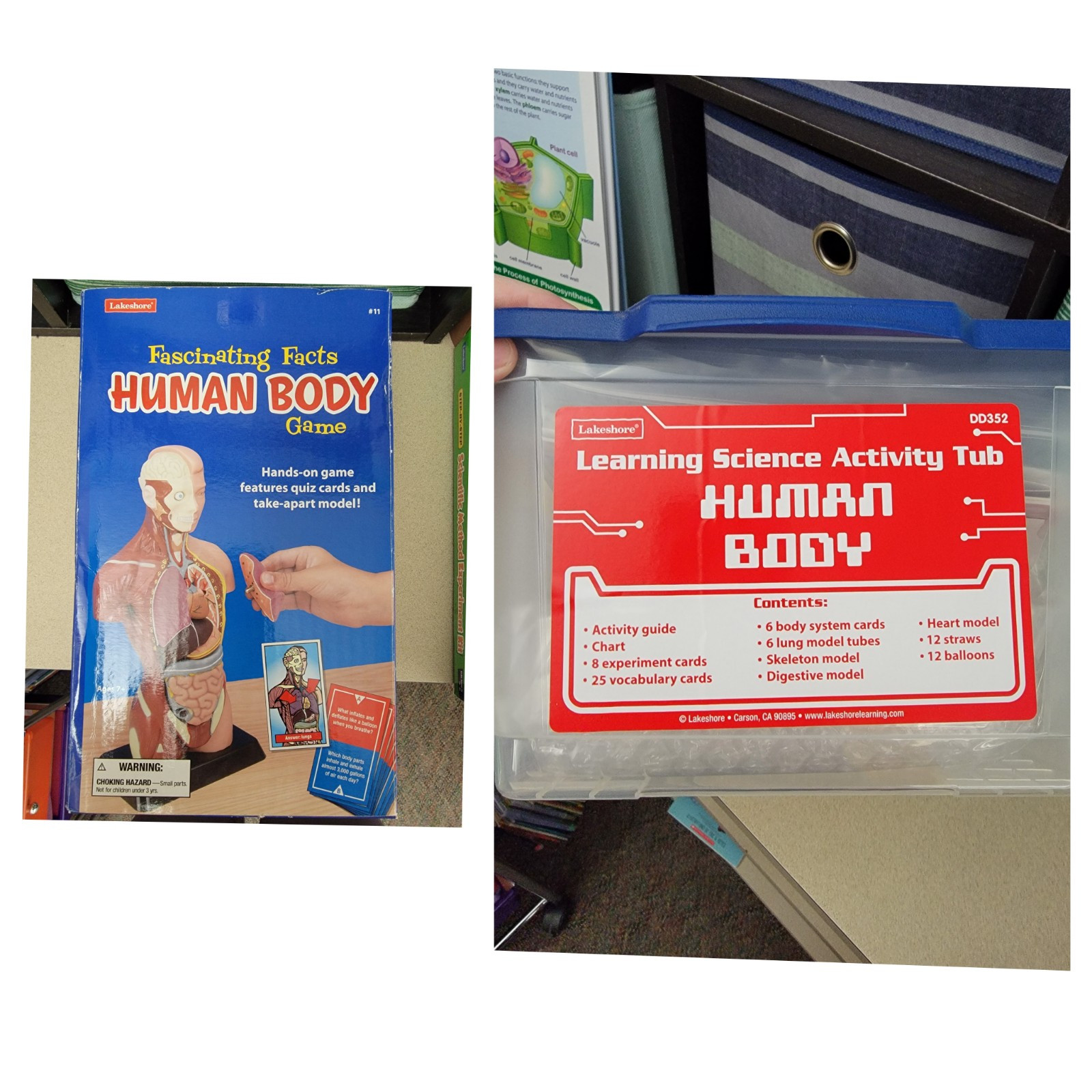 Lakeshore Human Body Activity Tub New And Human Body Pull Apart Game