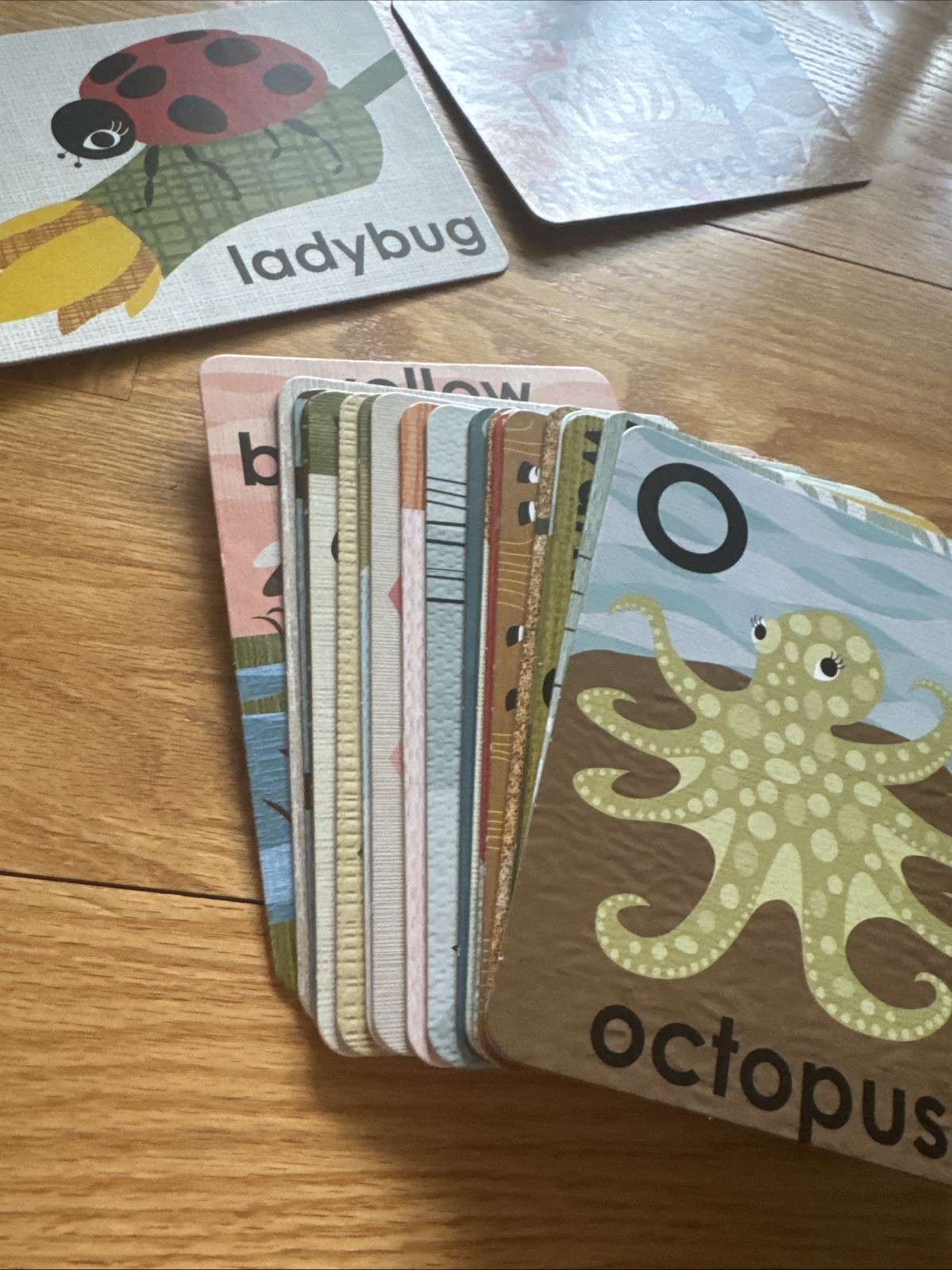 Alphabet Animals Flash Cards – Lisa Dejohn – Sturdy Board Print -Chronicle Books