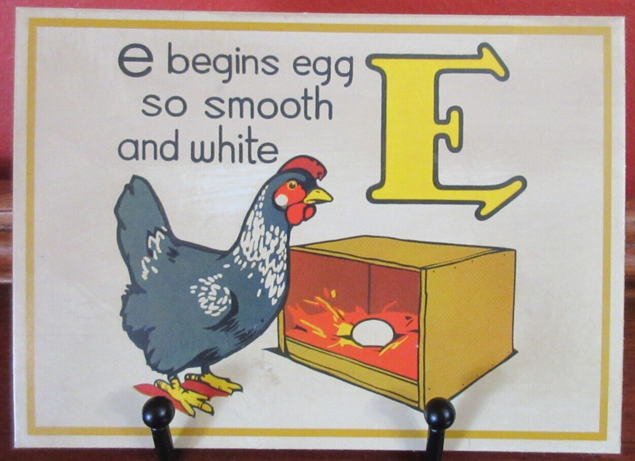 Vintage “E” FLASH Card GRAY CHICKEN & EGG in Laying Box Cardboard 4.5″ x 6.5″