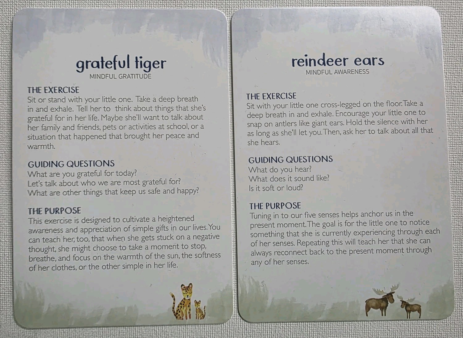Little Renegades Mindful Kids Cards Everyday Exercises for Confidence & Joy