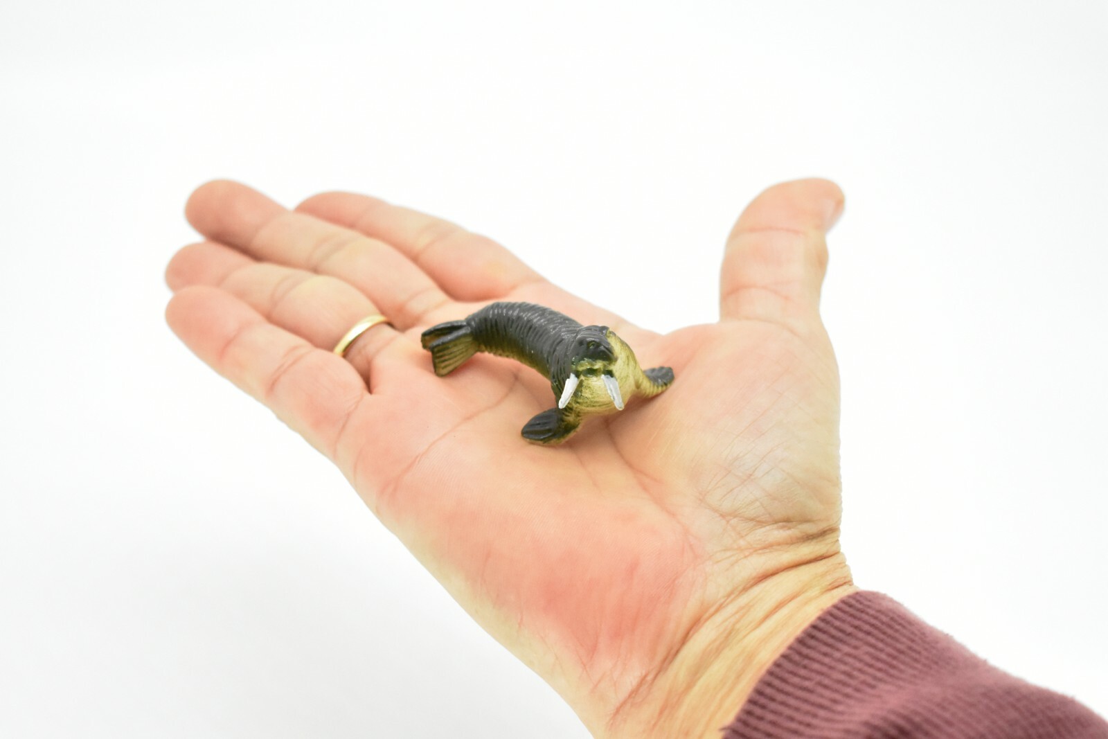 Walrus, Very Nice Plastic Replica 2″ – F220 B36