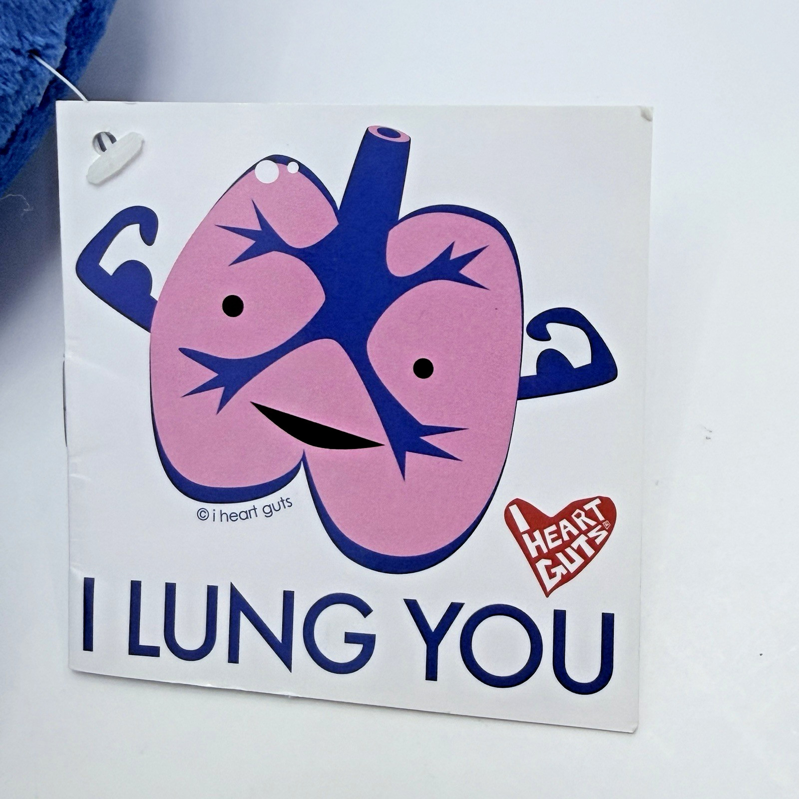 I Heart Guts Lungs Plush I Lung You Doll Science Toy Organ Body Part Lungs