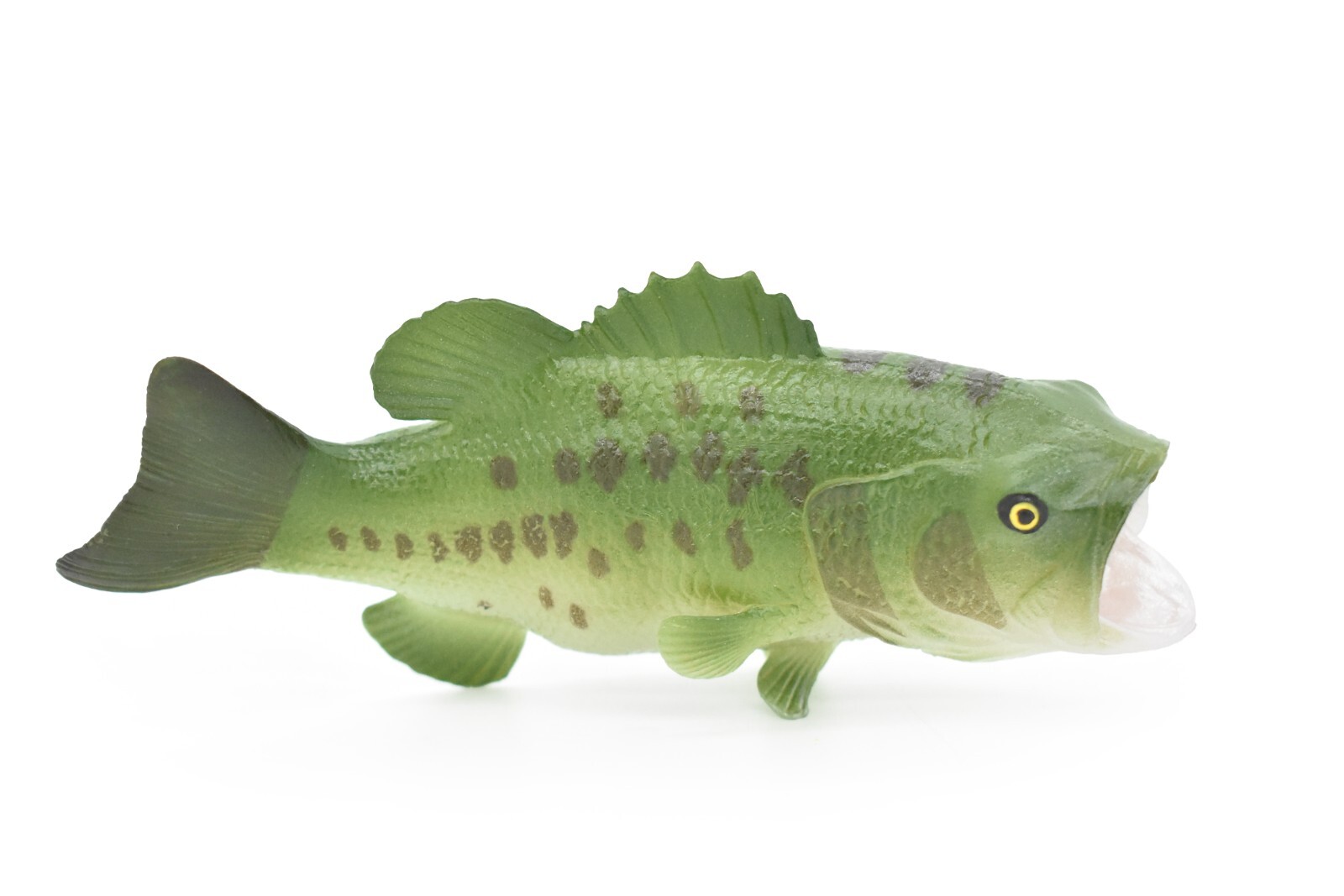 Largemouth Bass, Fish, Realistic Rubber Model, Hand Painted Toy Figurine 6″