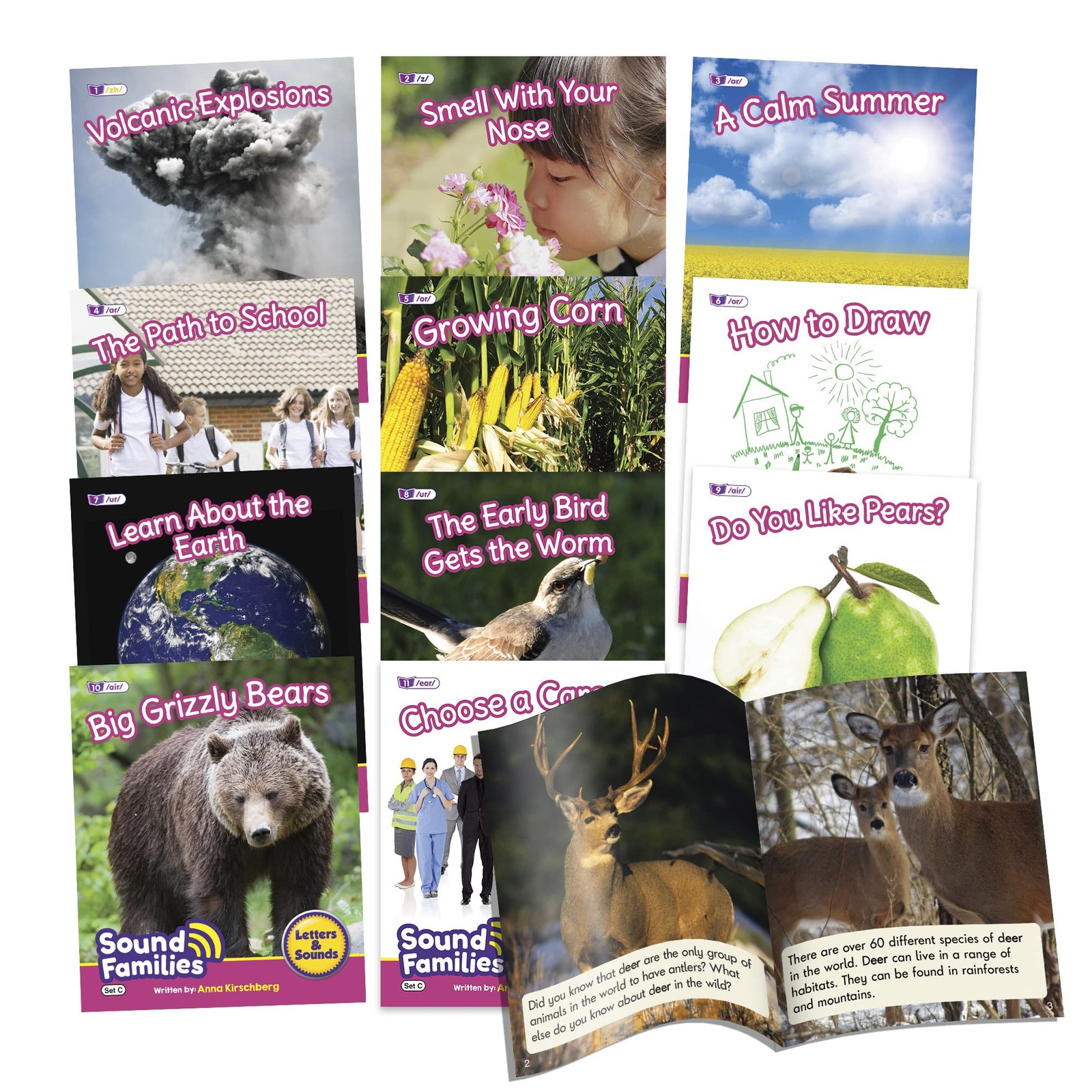 Decodable Readers Sound Families R-Controlled Non-Fiction Phase 5.5, Vowel So…
