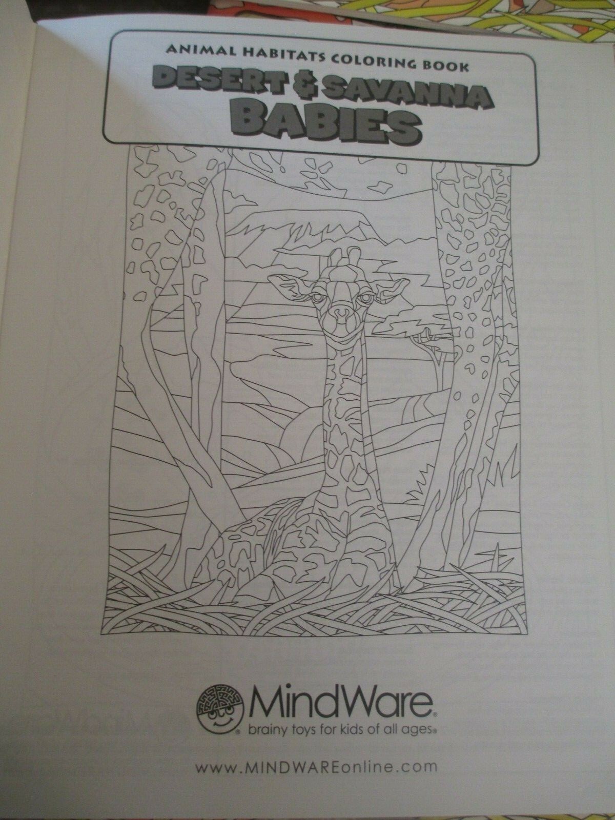 New MINDWARE Brainy Toys lot of (14) Intermediate Coloring Books African Animals