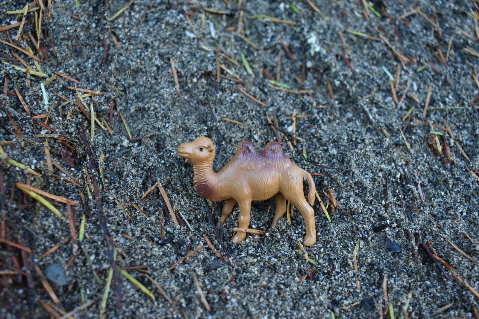 Camel, Bactrian, Plastic Toy Animal, Kids Gift, Realistic Figure, 2.75″ F3548