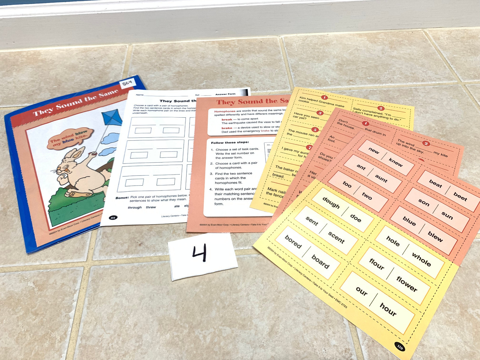 Teacher Made Literacy Center, Classroom Center-Homophones SC4