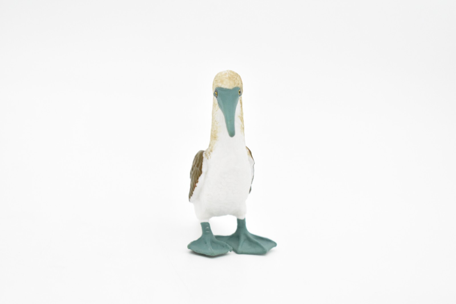 Blue Footed Booby, Bird, Very Realistic Rubber Model, Hand Painted Figurine 3″