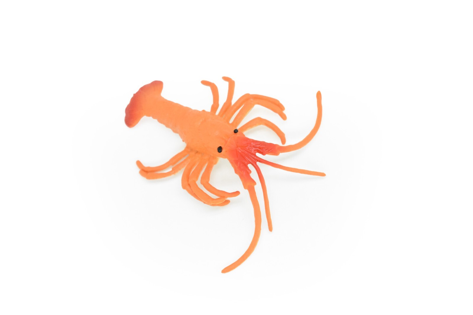 Lobster Toy, California spiny lobster, Realistic Plastic Replica 3″ CWG275 B46