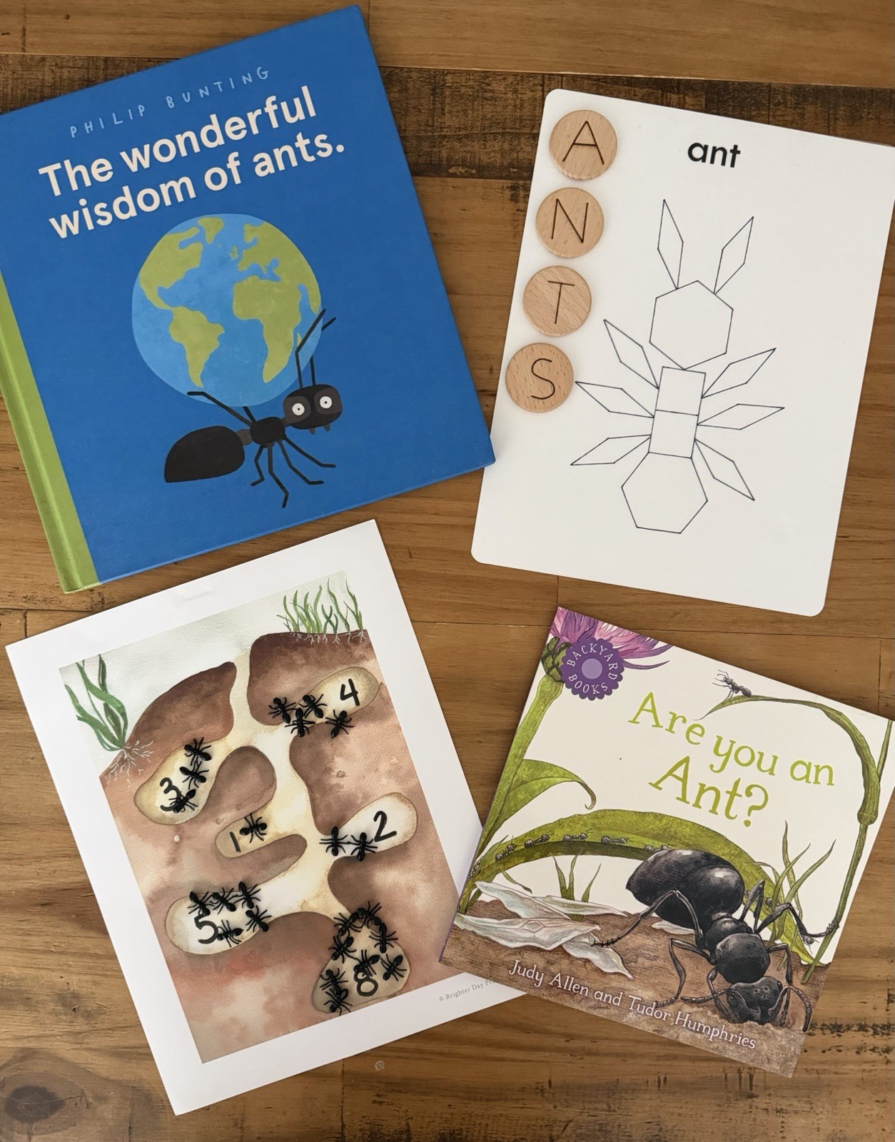Ant Study Hands-On Learning Open-ended Learning (bundle) ant sensory
