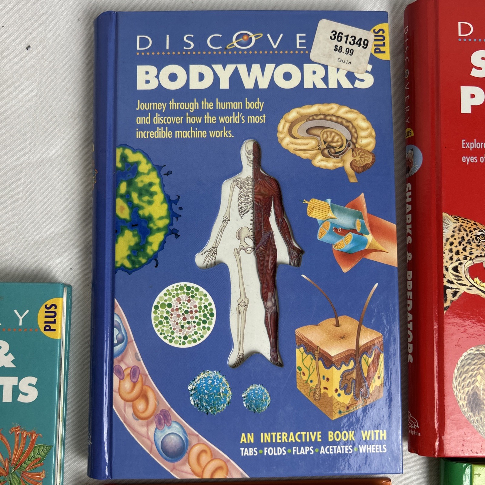 Lot Of (5) Discovery Plus Books INTERACTIVE/Fold Outs / Tabs/ Wheels / Acetate