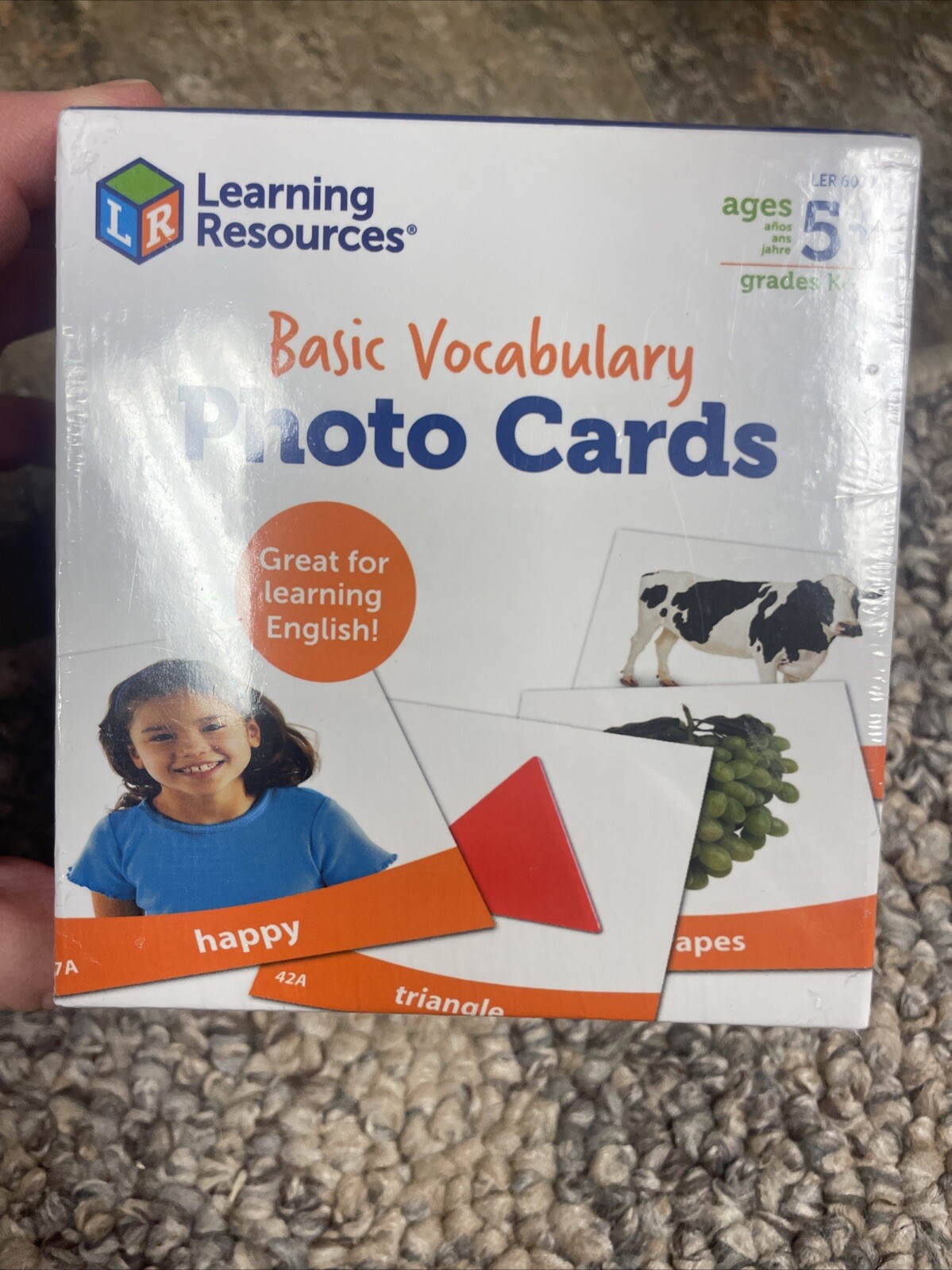 Learning Basic Vocabulary Photo Cards Phonics Learning 156 Cards Ages 5+