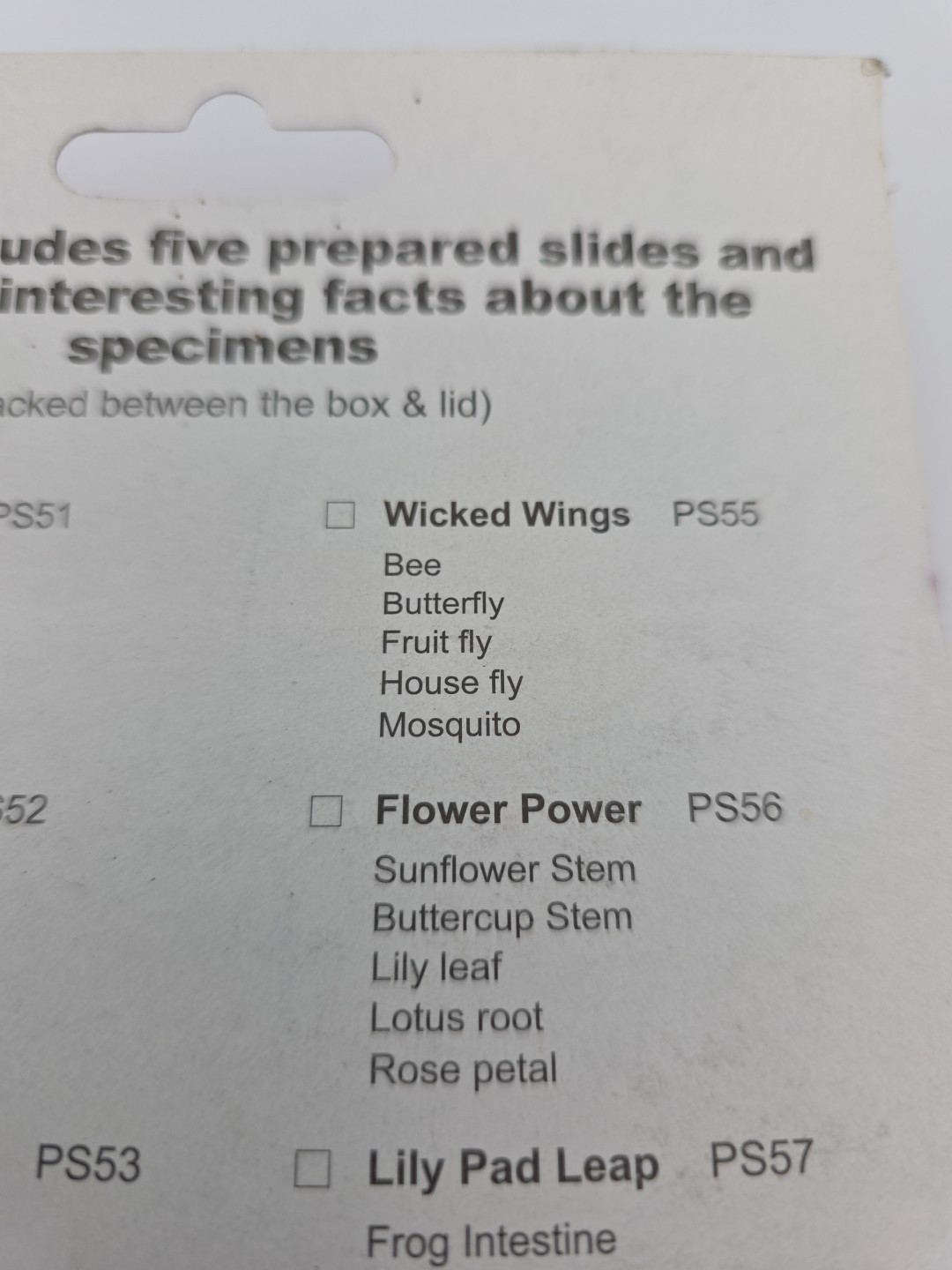 My First Lab Prepared Microscope Slides Wicked Wings PS55 Homeschool Science