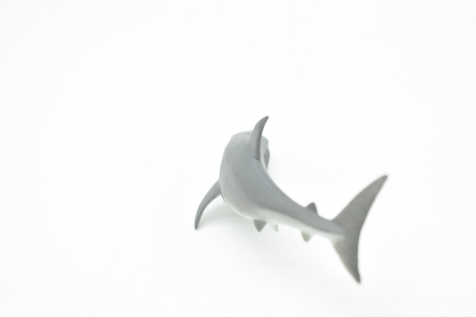 Great White Shark, Curved, Very Nice Rubber Replica 3″ – F224 B36