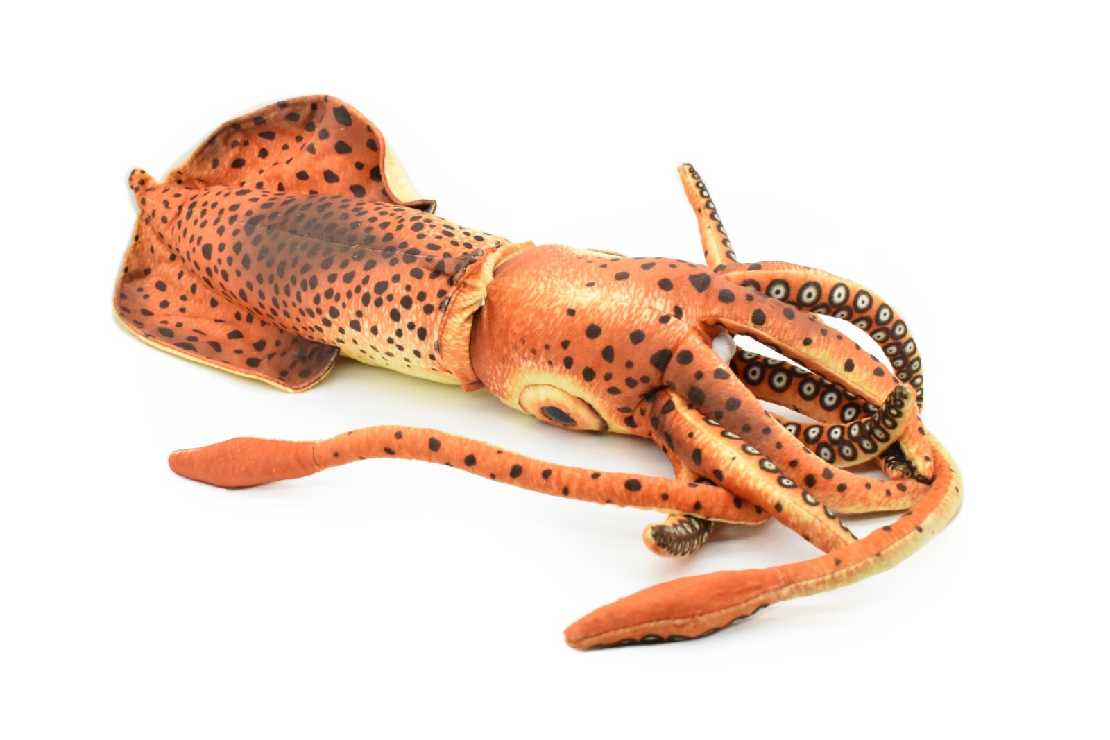 Squid, Giant, Realistic Cute Stuffed Animal Plush Toy Kids Gift 24″ C06