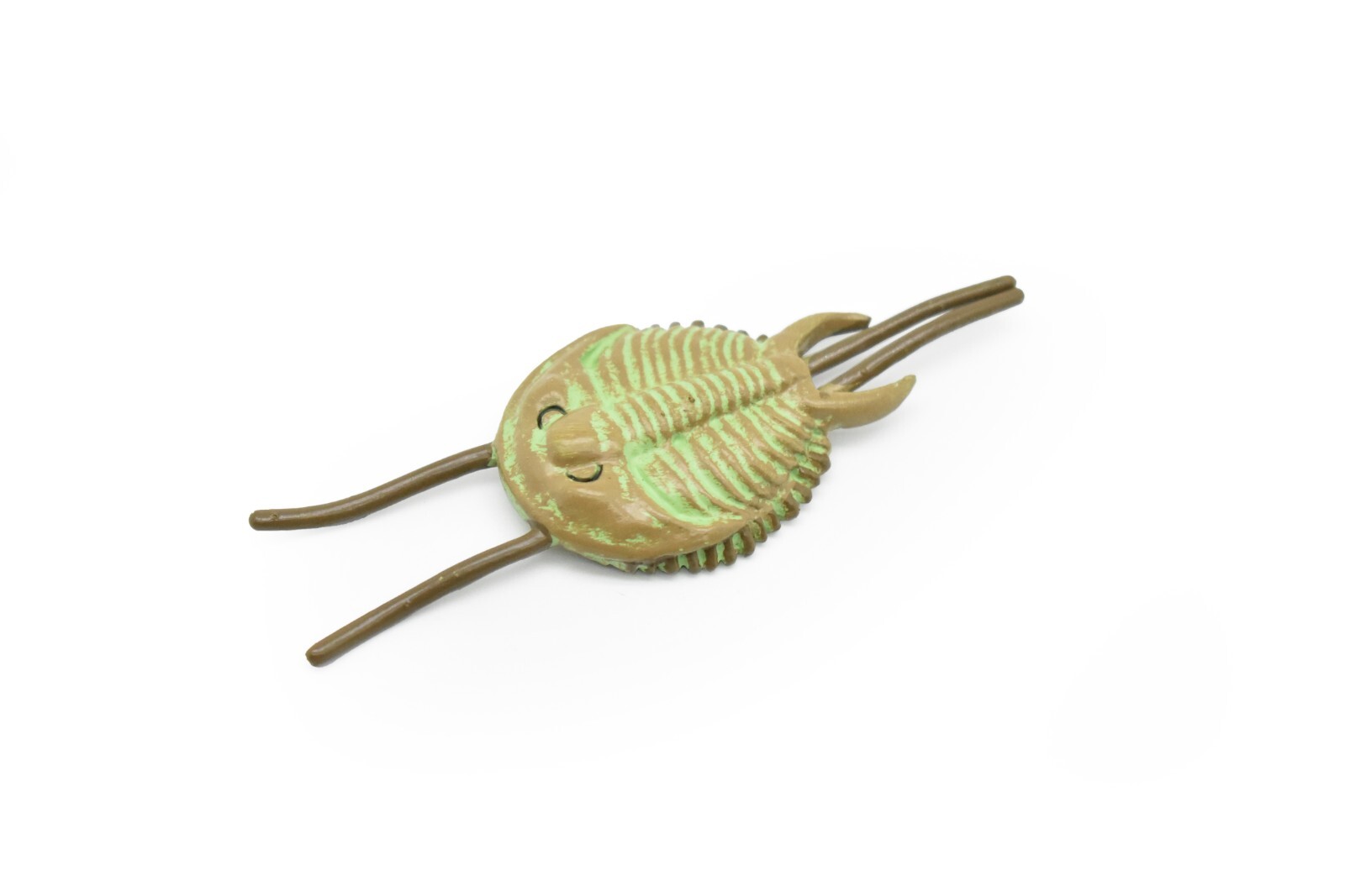 Tricrepicephalus, Trilobites, Fossil Toy Cambrian Sea Animal, Realistic Model