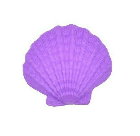 Purple Scallop Shell Toy, Lion’s Paw, Sea Shell, Beach, Gift, 1 3/4″ F4109 B96