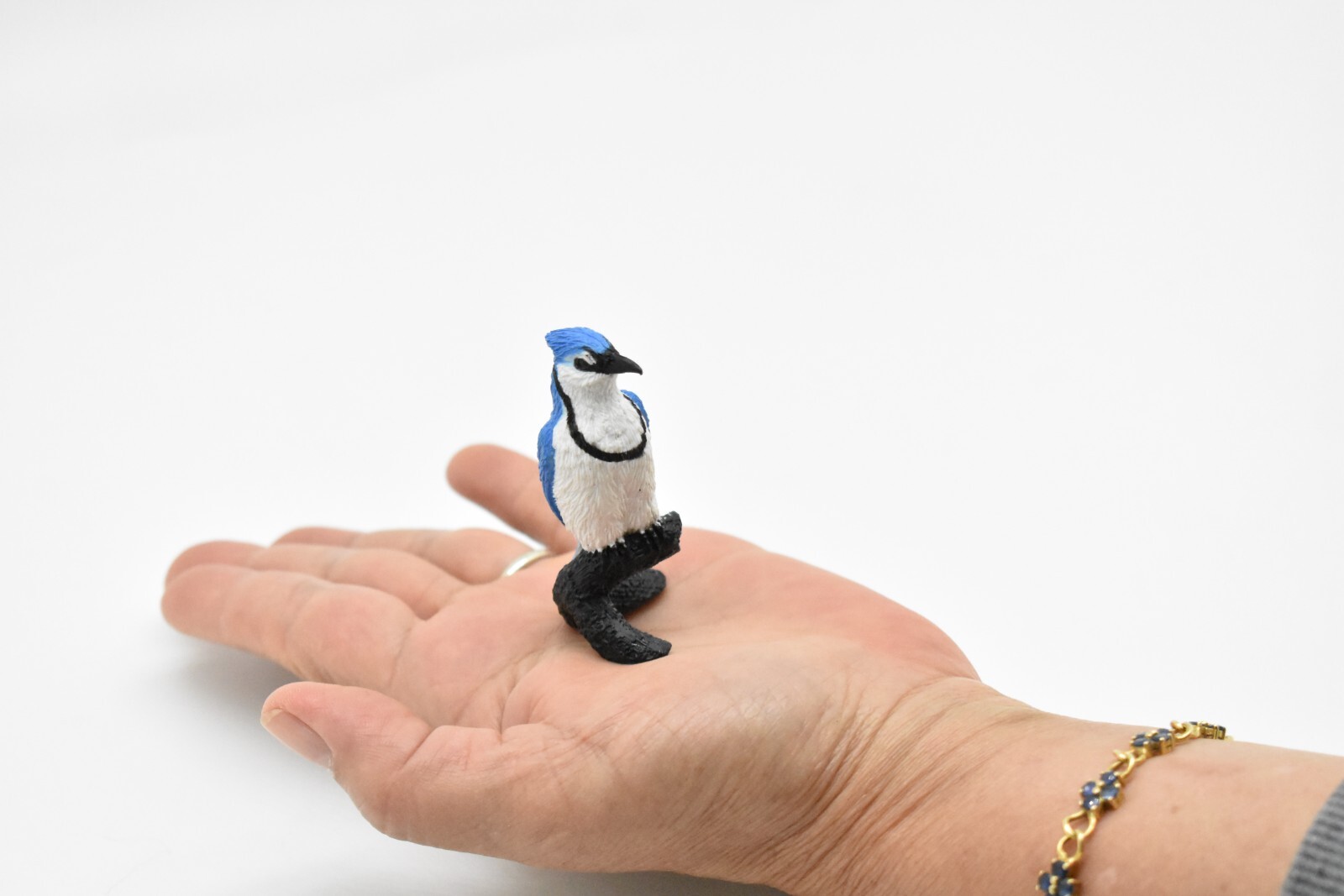 Blue Jay, Bird, Nice Plastic Reproduction 2 1/2″ F3388 B27