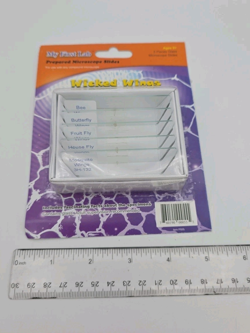 My First Lab Prepared Microscope Slides Wicked Wings PS55 Homeschool Science