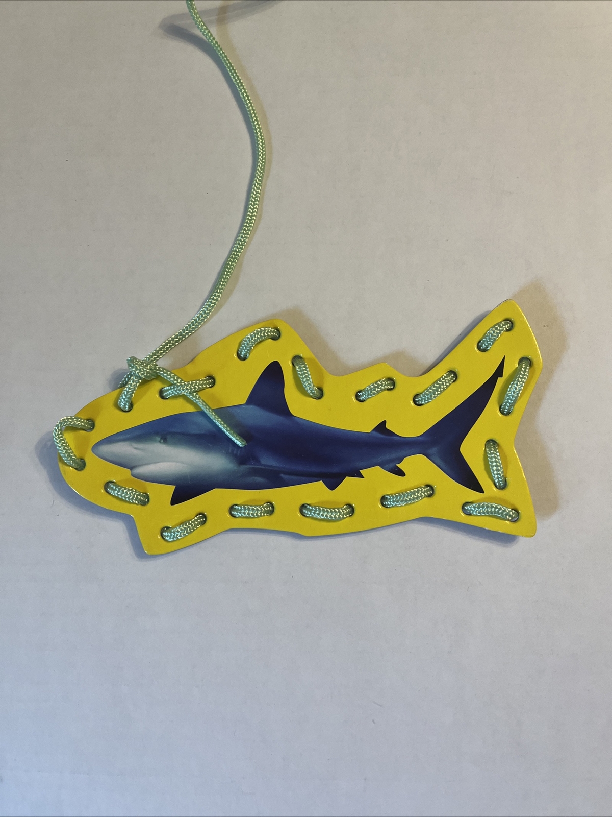 Lacing Sea Creatures, Cards And Strings