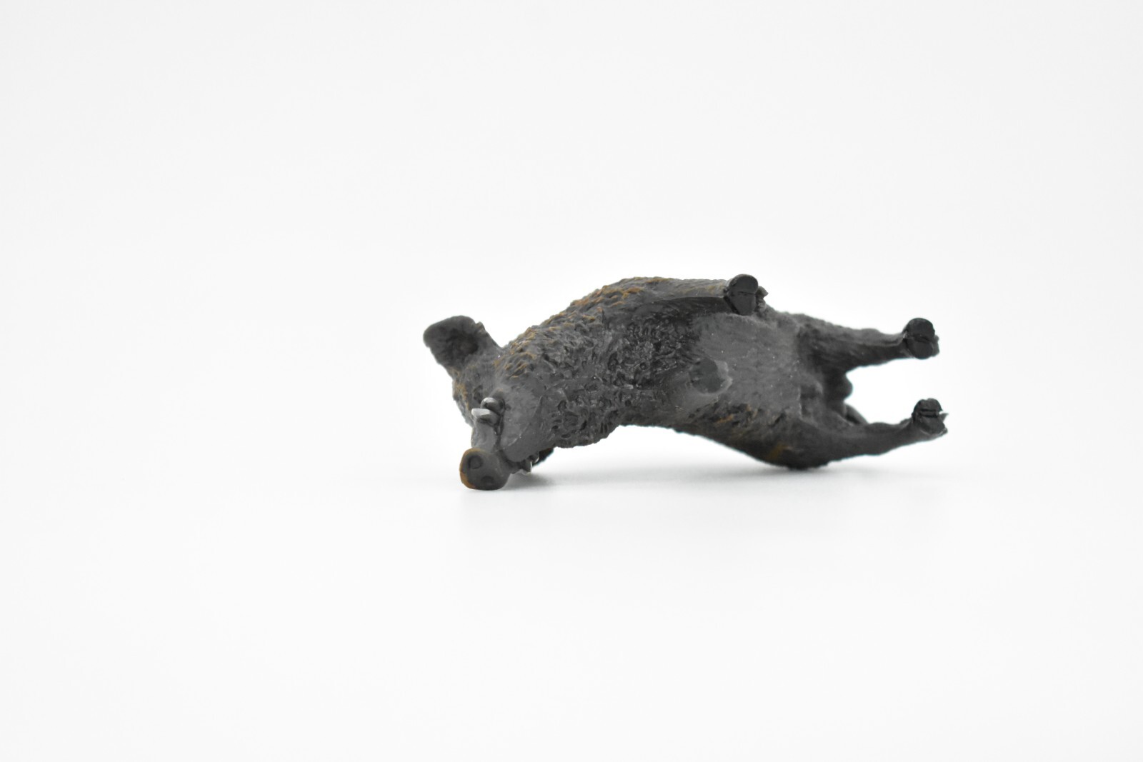 Wild Boar, Javelina Pig Figure, Educational Animal Kids, 3″ CWG177 BB41