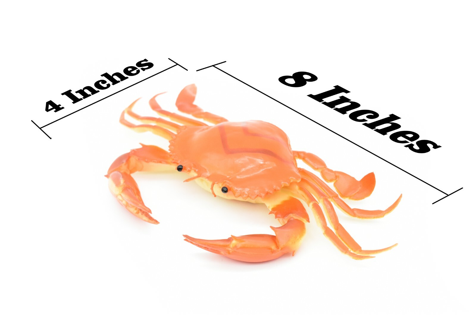 Crab orange and brown Very Nice Rubber Replica with squeak 8″ – F1680 B98