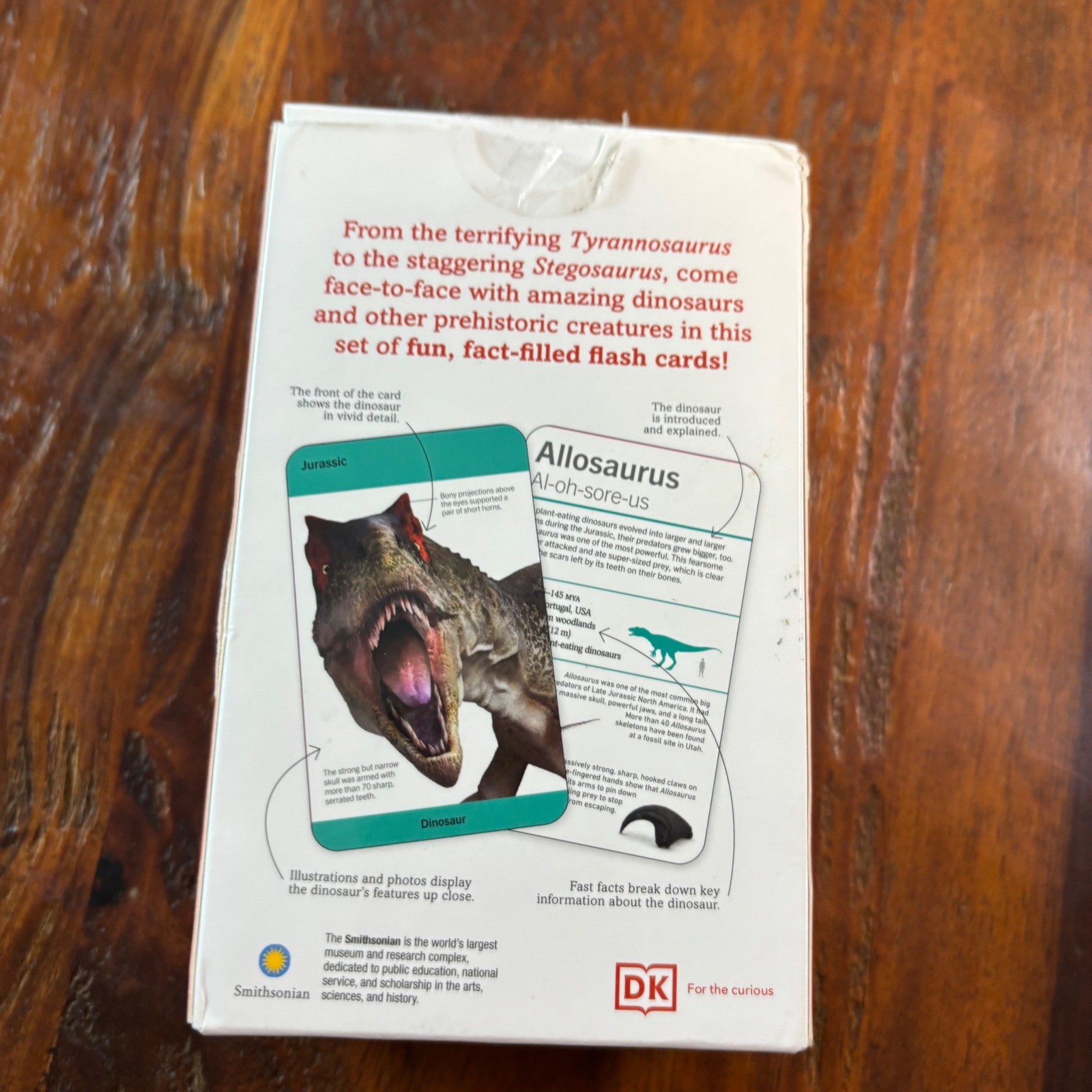 DK Smithsonian Our World in Pictures Dinosaurs 125 Flash Cards Prehistoric 2023