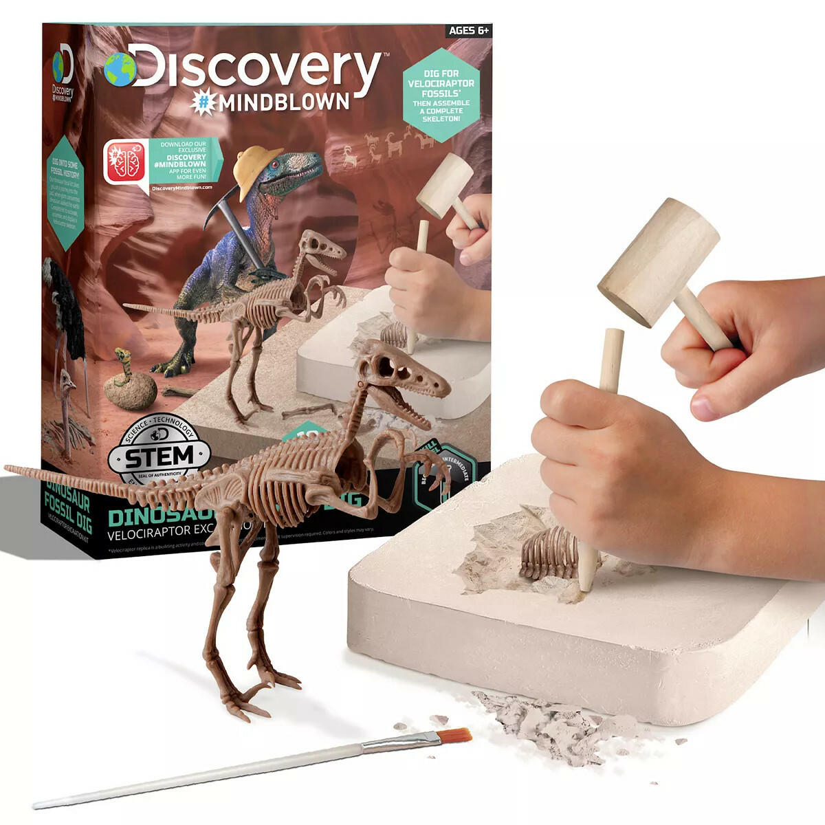 Velociraptor Dinosaur Fossil Excavation Dig Kit Discovery Mindblown STEM Toy
