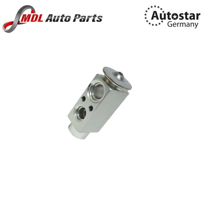 AutoStar Germany A/C Expansion Valve 64118372436 BMW E36 318i 323i 328i M3 Z3