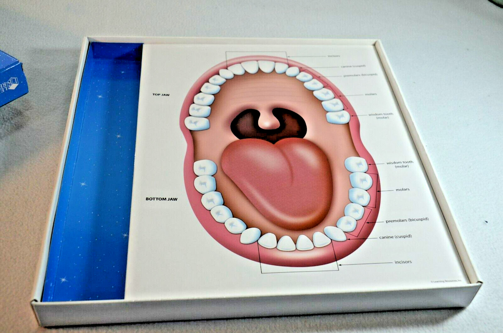 Pearly Whites Board Game Learning Resources Dental Health Game Complete