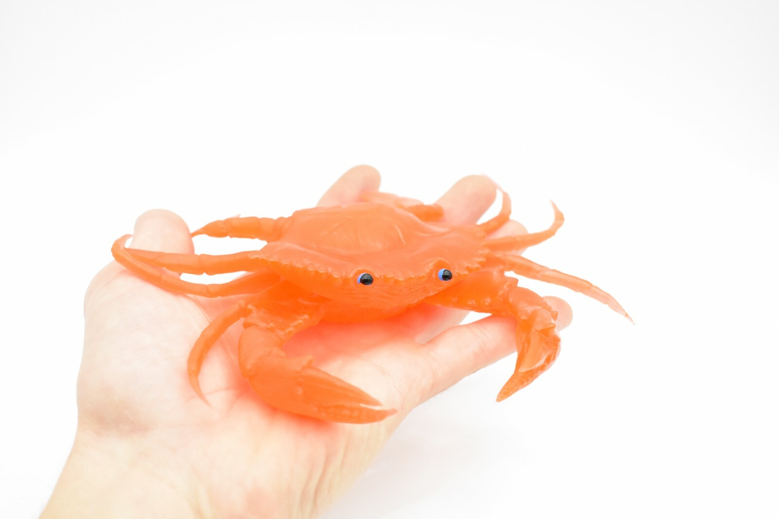 Orange Crab, With Squeak, Very Nice Rubber Replica 7″ F1764 B188