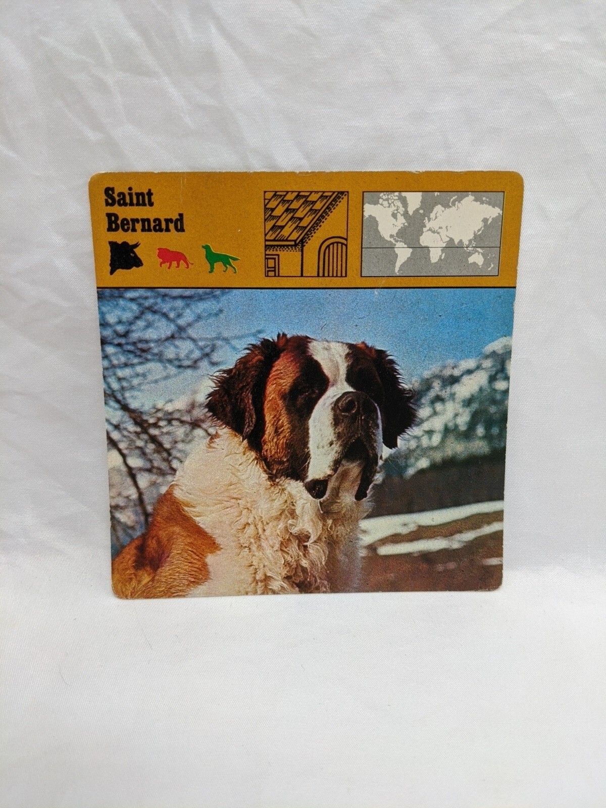 Lot Of (21) 1975 Rencontre Mammals III Education Cards