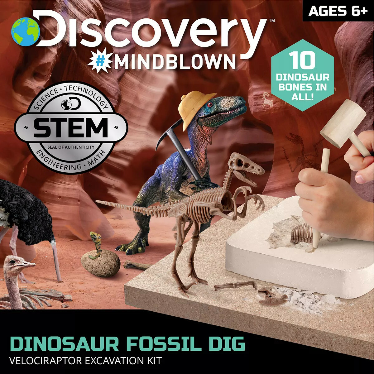 Velociraptor Dinosaur Fossil Excavation Dig Kit Discovery Mindblown STEM Toy