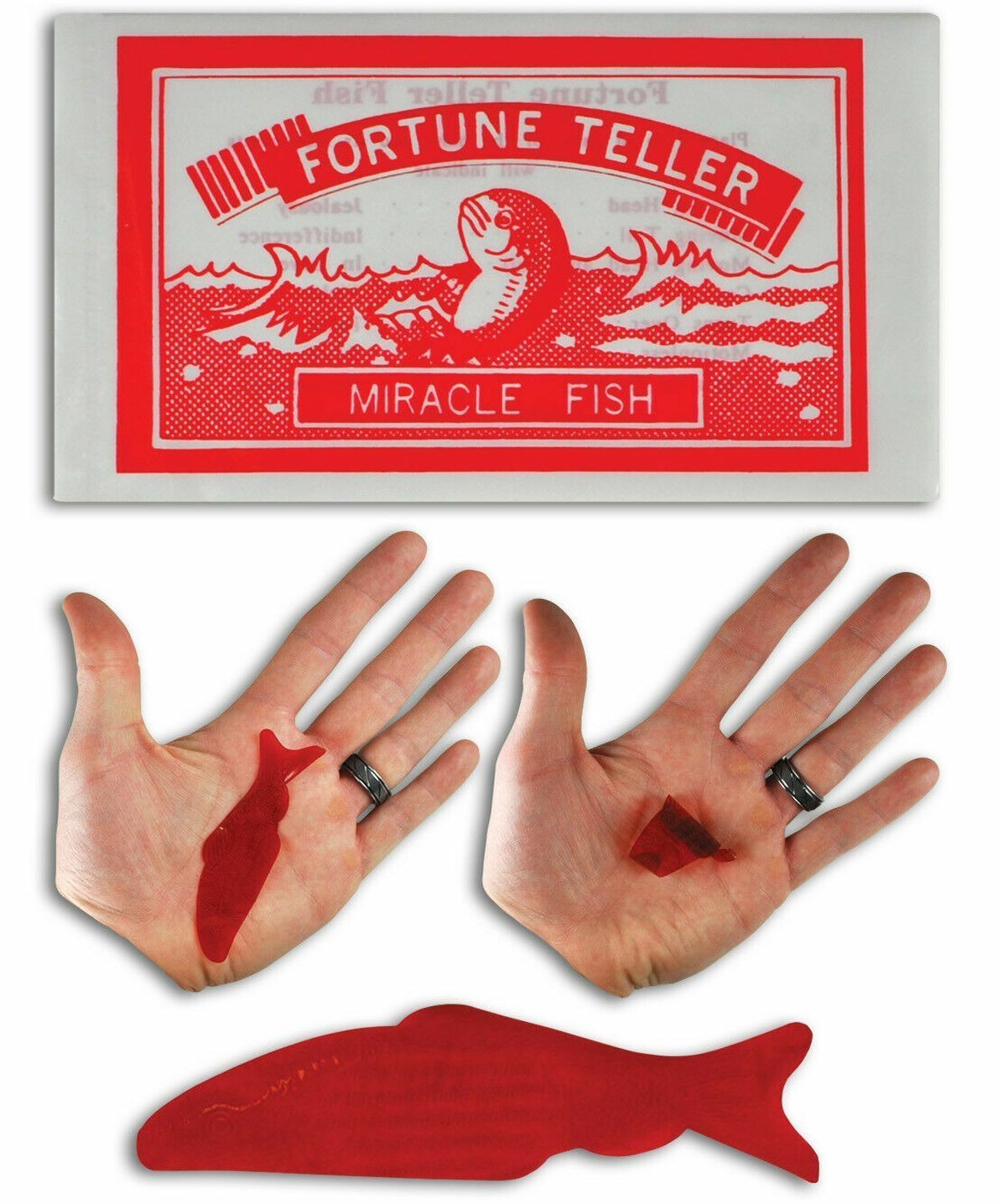 144 MIRACLE FORTUNE TELLING FISH Teller Palm Reading Party Favors (12 dz)