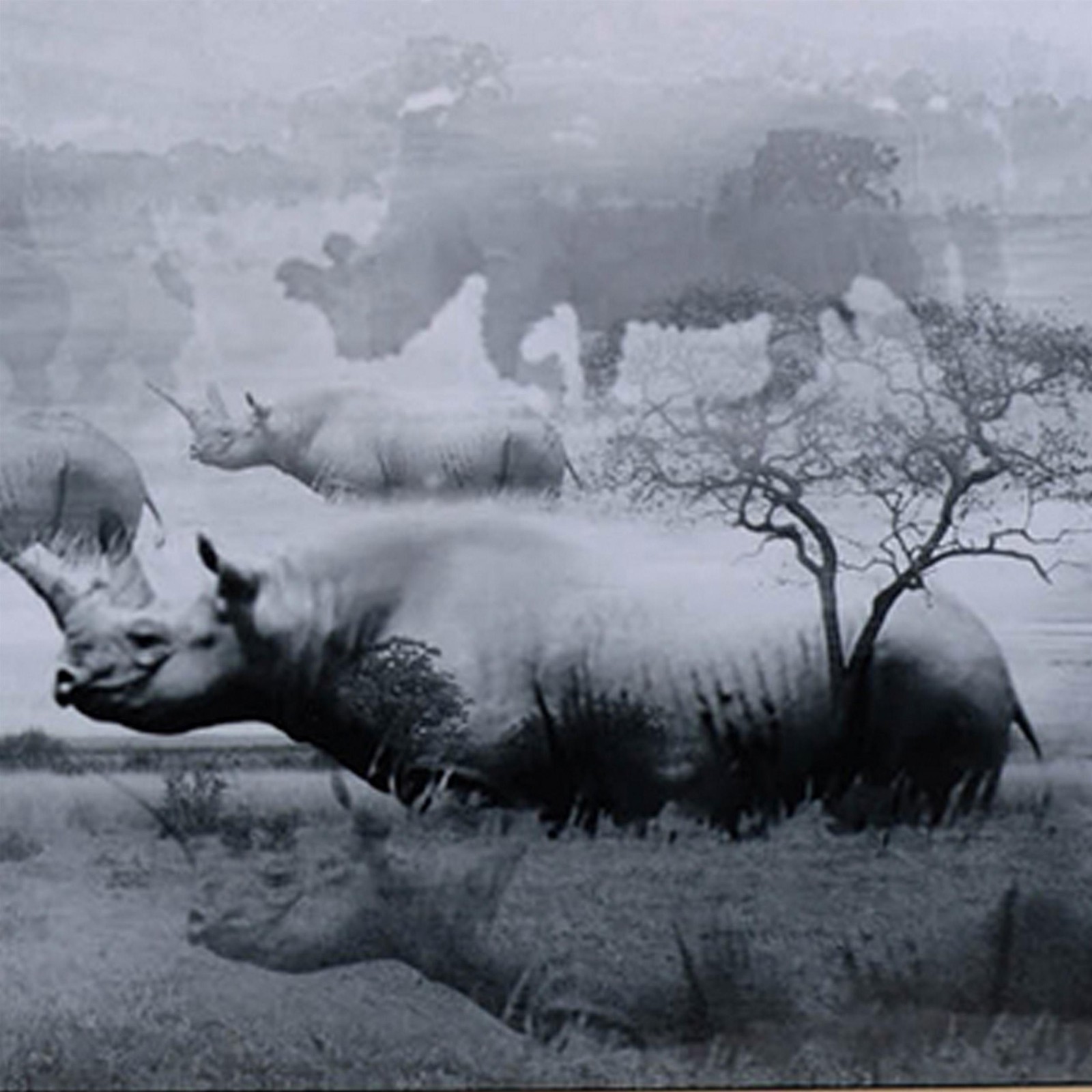 Benjara 49 x 59 Framed Wall Art-Foggy Waterscape Print-Modern Gray-White-Black