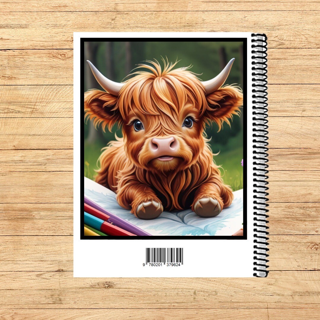 Set of 10 – Preschool Story Journals – Student Journal #PS8