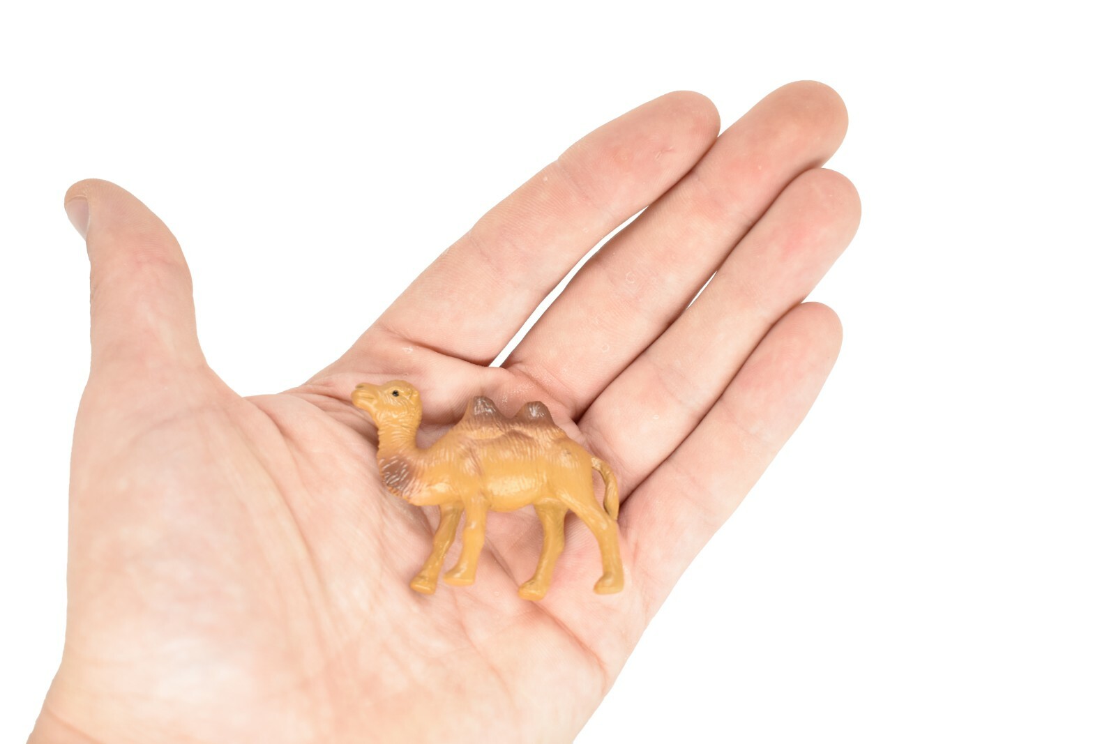 Camel, Bactrian, Plastic Toy Animal, Kids Gift, Realistic Figure, 2.75″ F3548