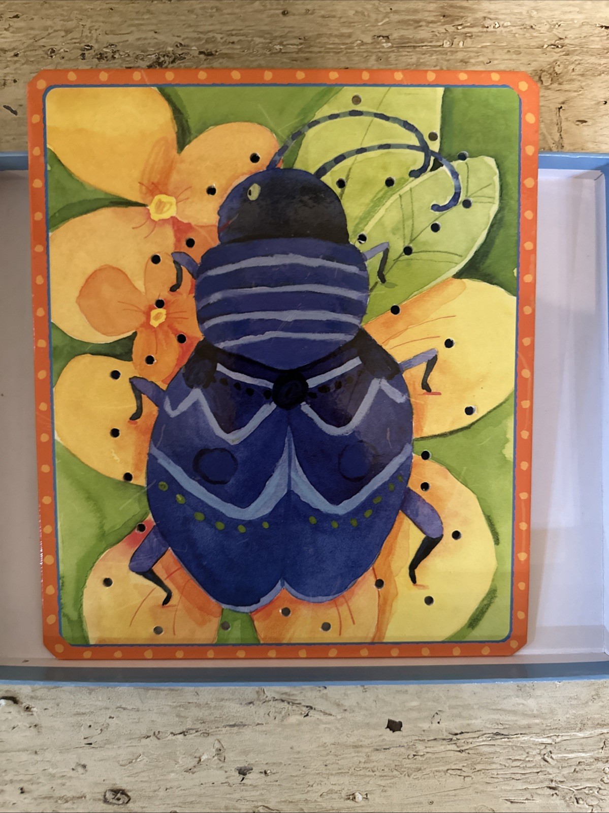 Vintage 2004 eeBoo More Friendly Bugs Lacing Sewing Cards 5 Cards & Laces