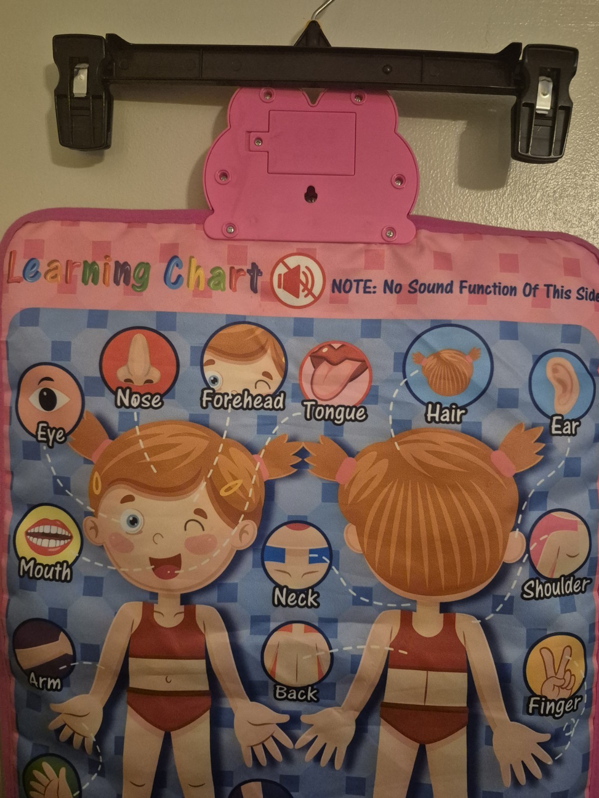 Electronic Interactive Double-Sided Alphabet Wall Chart, Talking ABC & 123