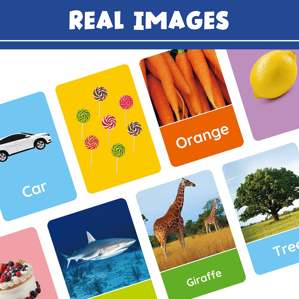 84 Double-Sided 168 Images Educational Flash Cards Alphabet Number Animal Shape
