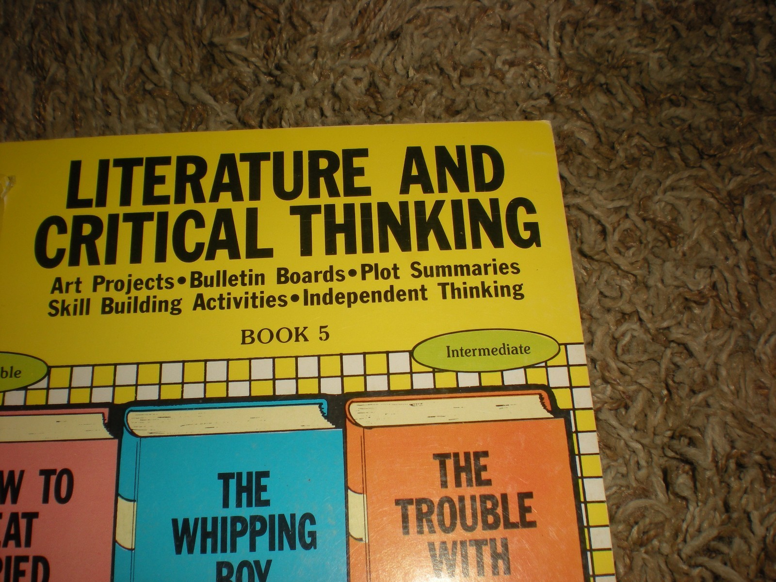 Teacher Resources Literature and Critcal Thinking Book 5 Plot Summaries Skills