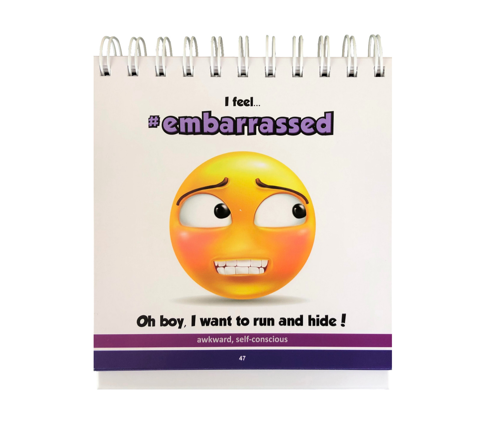 REAL FEELS Flip book of Feelings