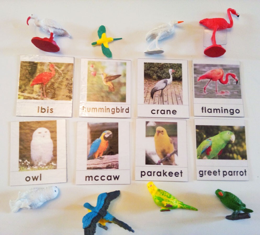 Montessori preschool educational material package