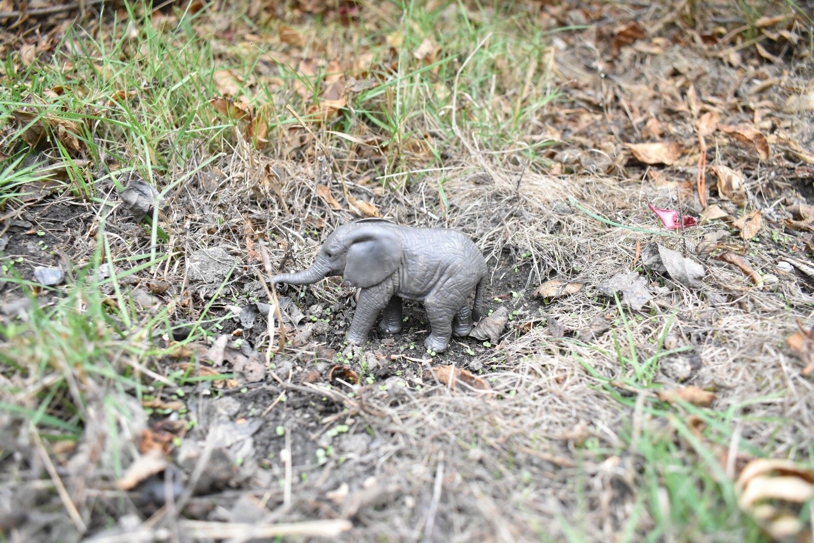 Elephant Calf Realistic Small Toy Model Plastic Replica Animal Gift 3.5″ M115