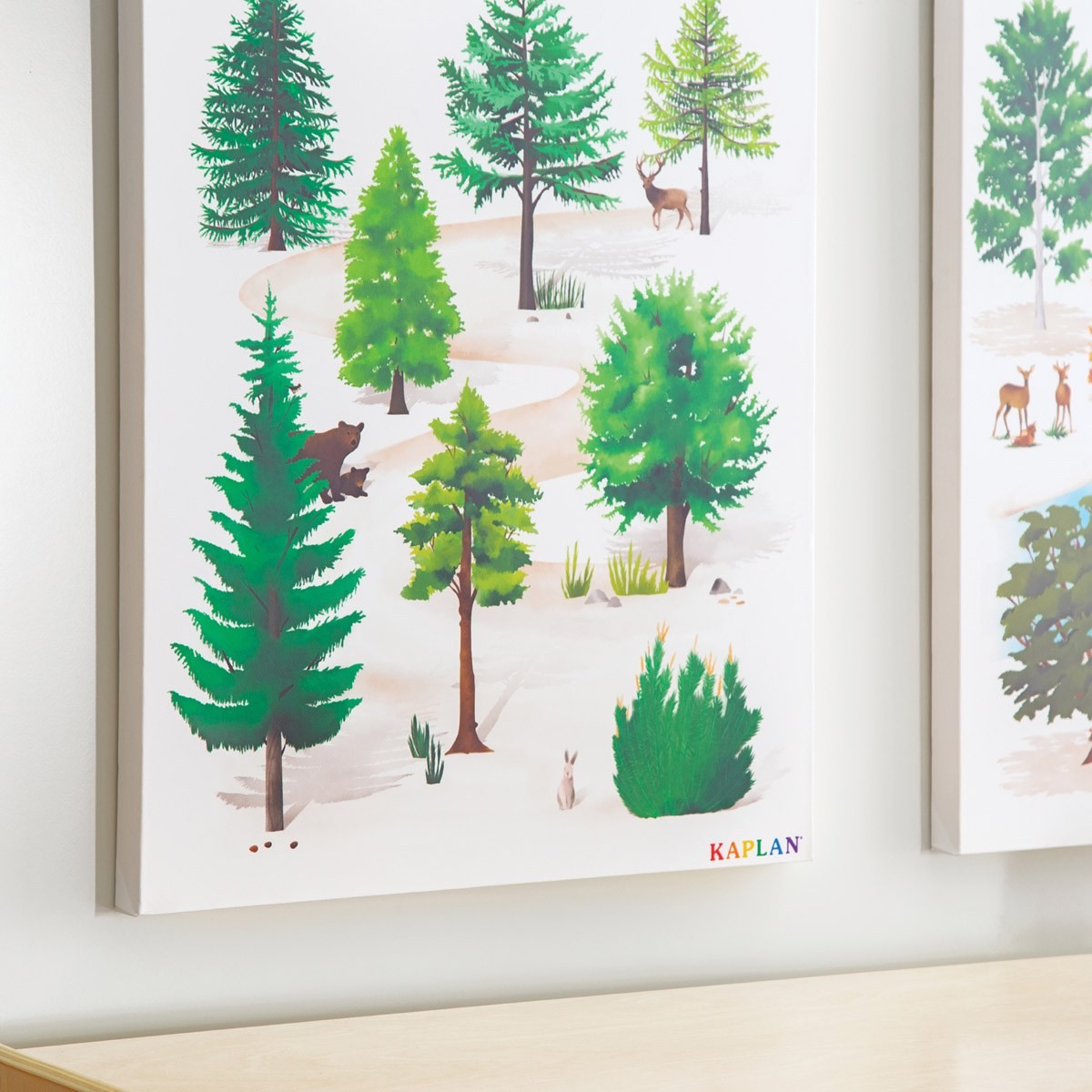 Kaplan Early Learning Coniferous Tree Giclee Classroom Wall Print