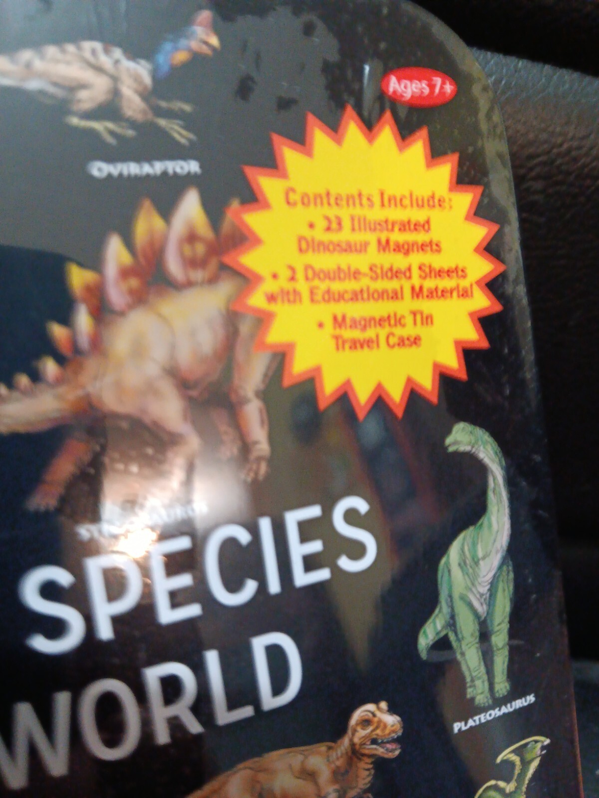 Dinosaur Species Of The World Stem By T.S. Share 23 Dinosaur Magnets